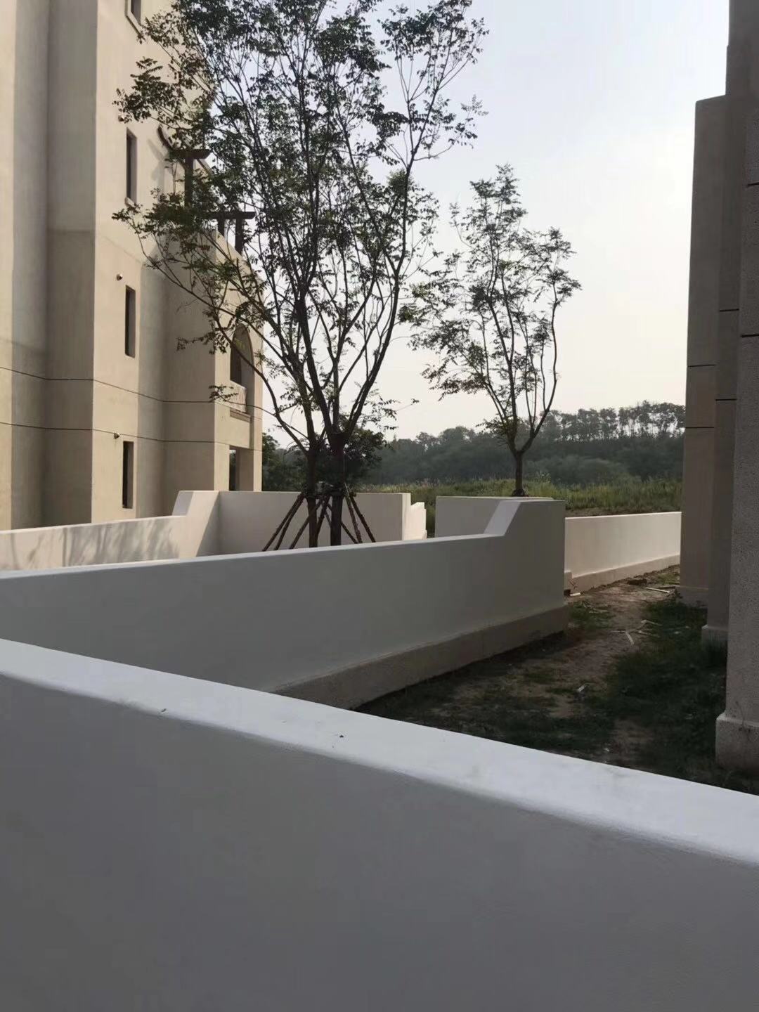 香港正版免费资料123
