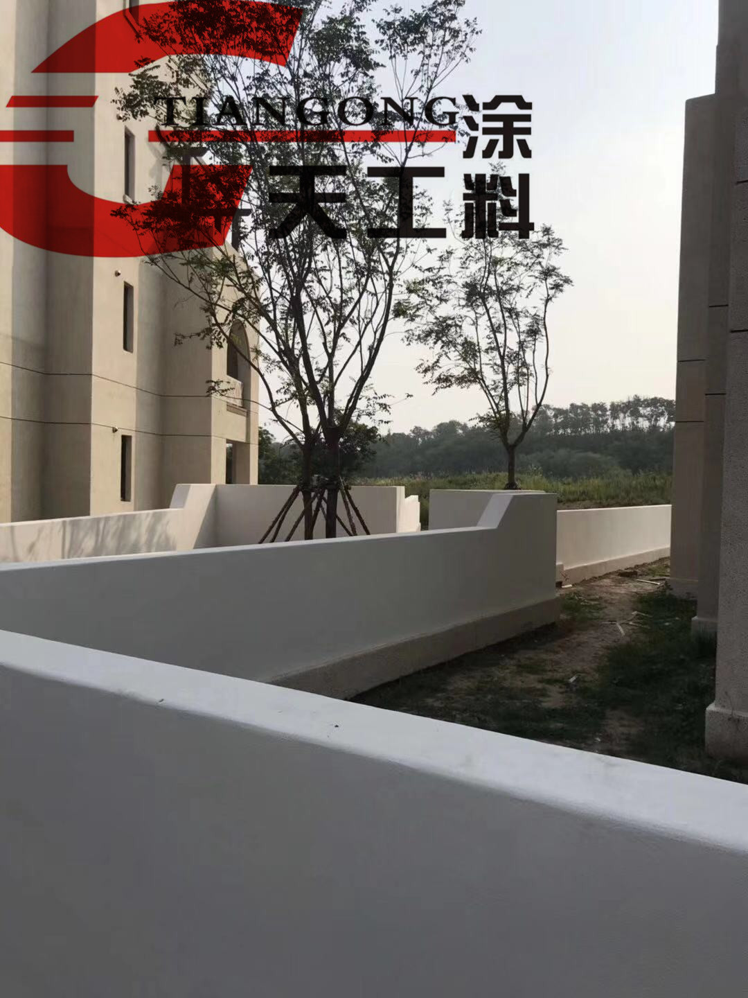 香港正版免费资料123
