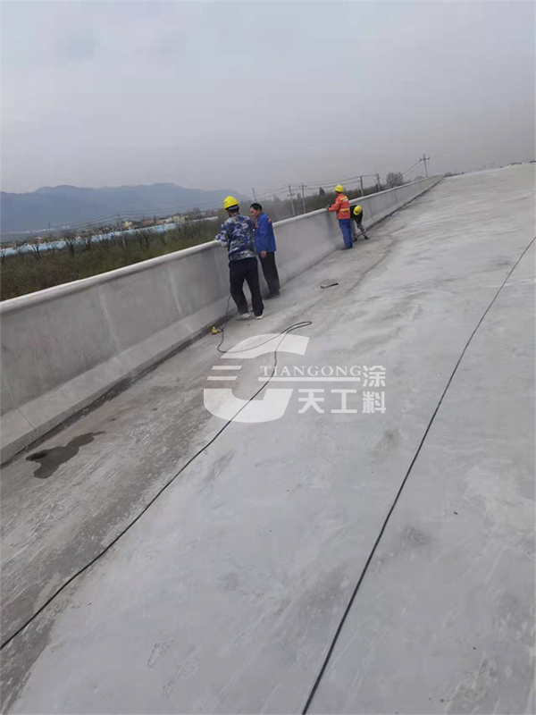 香港正版免费资料123