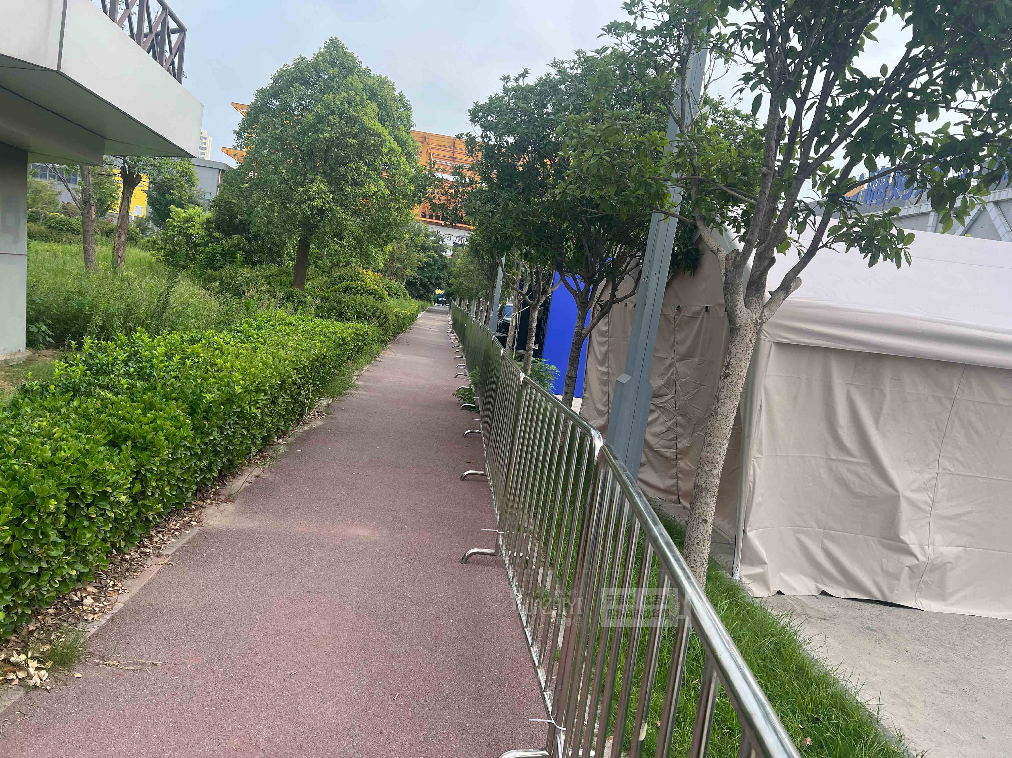 香港正版免费资料123