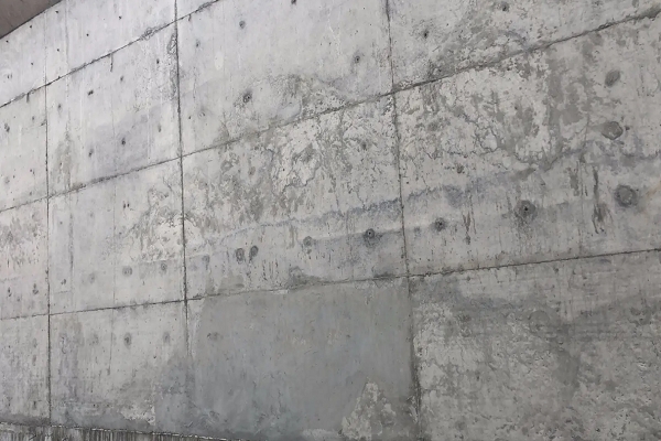 香港正版免费资料123