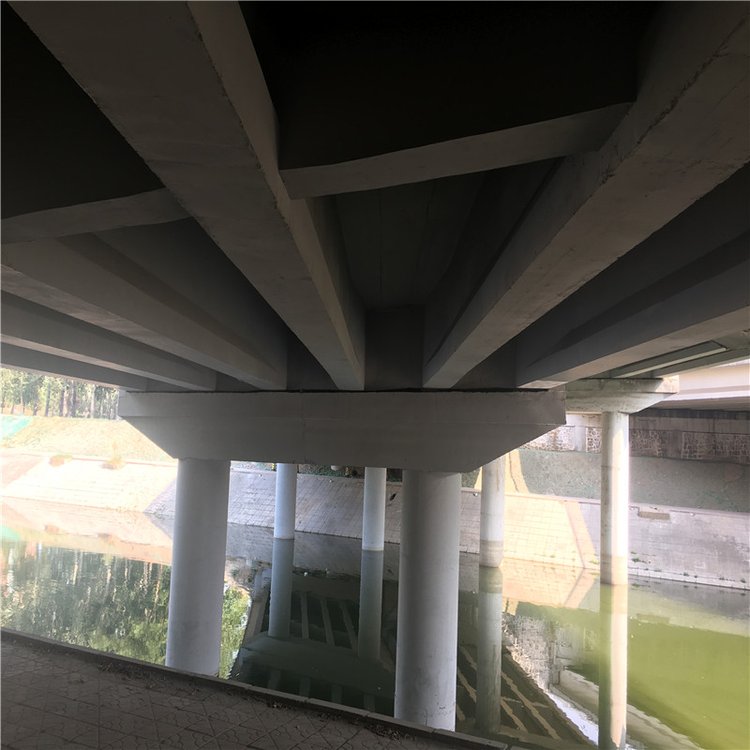 香港正版免费资料123