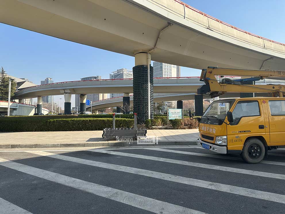 香港正版免费资料123