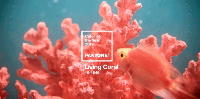 1545201139492119.png TIM截图20181219142817.png