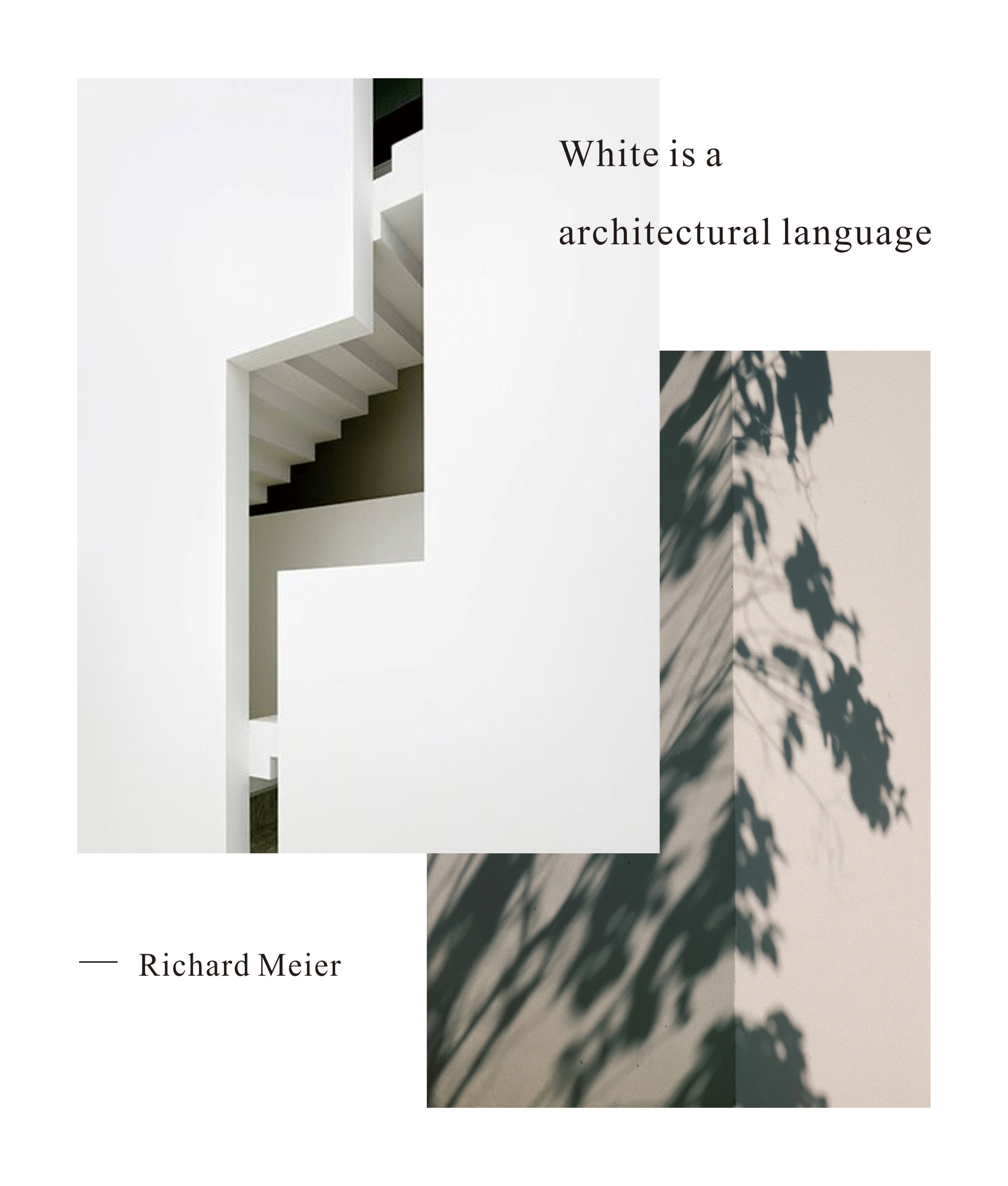 1624329856965235.jpg 01.jpg